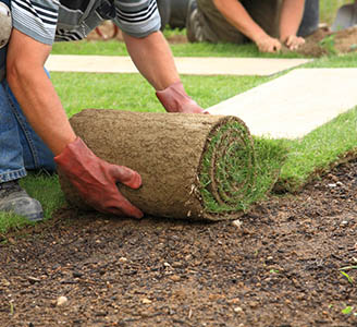 Gardening Services by PW Property Repair